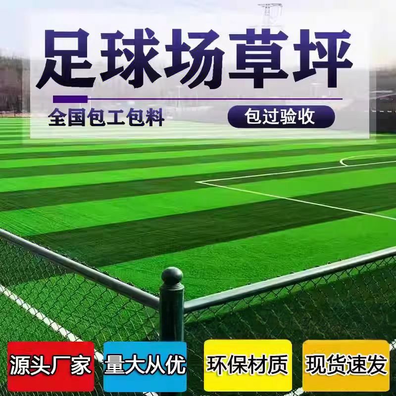 伊犁哈萨克自治州人造草坪塑胶跑道 - 方案